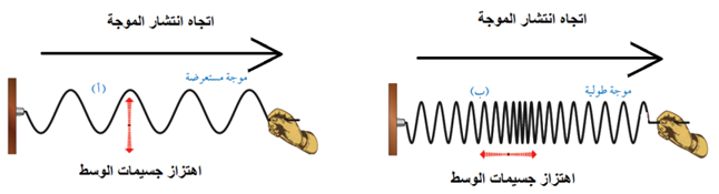 الموجات الطولية والموجات المستعرضة