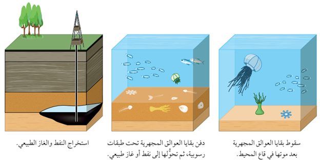 مراحل تشكل النفط واستخراجه