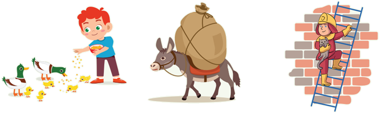 صور الرفق بالحيوان