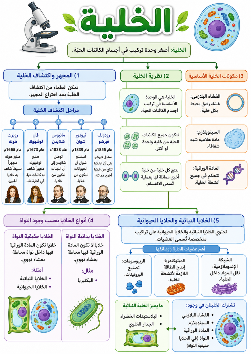الخلية
