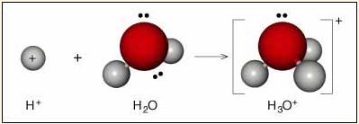 Молекула h3o. Модель молекулы h2o2. Шаростержневые модели молекулы азота. Модель молекулы h2o2. Молекула h3o.