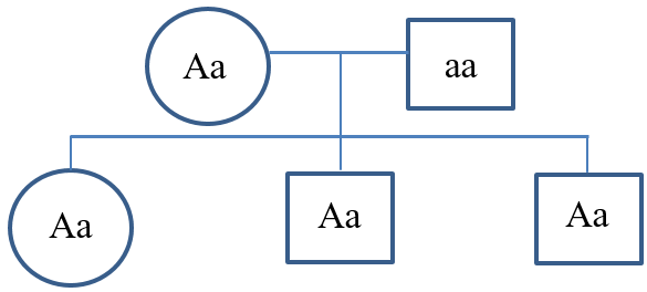 لماذا تكون الصفه المتنحيه دائما متماثله الاليلات؟ 3